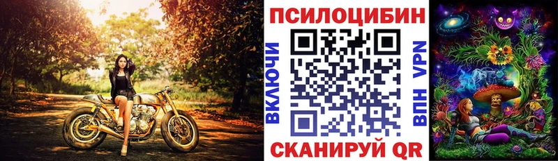 хочу наркоту  ОМГ ОМГ ССЫЛКА  Псилоцибиновые грибы прущие грибы  Петрозаводск 